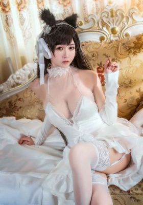 电视剧云之羽